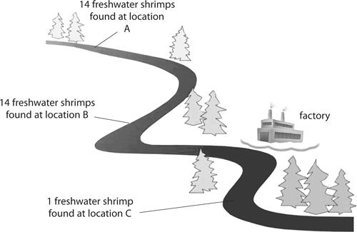 Q2. Catherine is an environmentalist studying water pollution in the stream shown in the diagram.