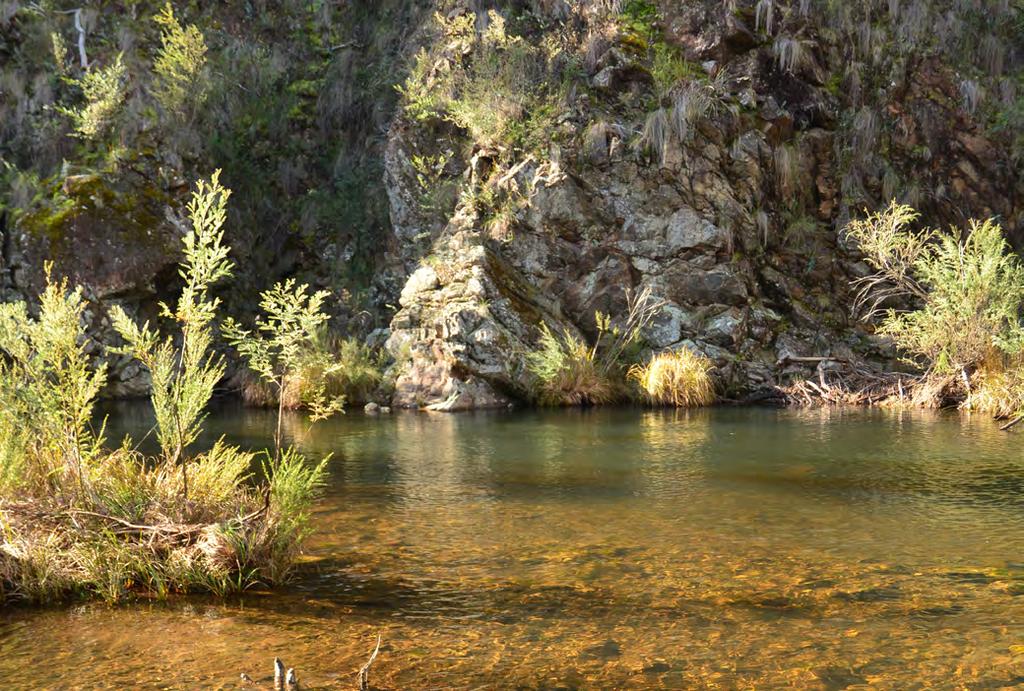 PROVIDING OPPORTUNITIES FOR LOW-IMPACT RECREATION Consistent with the primary objective of protecting water supply, recreational use of the Lower Cotter Catchment will remain low impact, with a