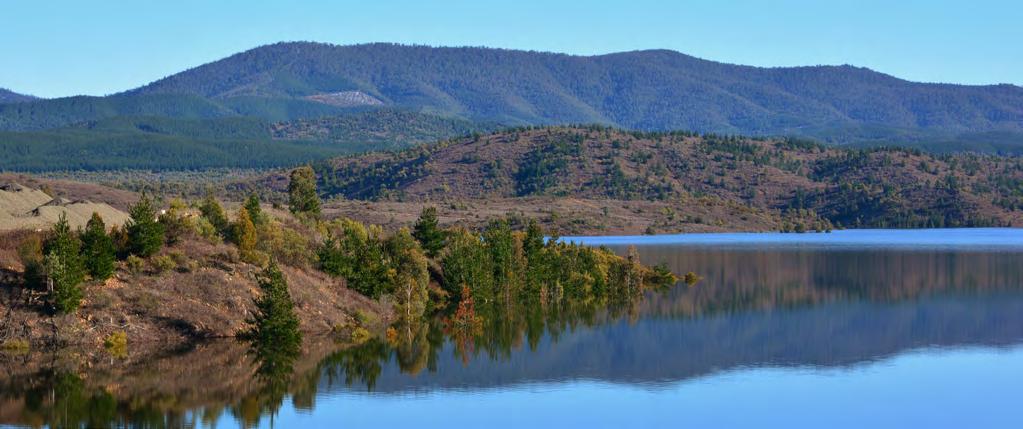 Cotter Dam with Blue Range hehind COMMUNITY INVOLVEMENT There is a strong recent history of community involvement in the reserve since the 2003 fire, with nearly 15,000 volunteers spending more than