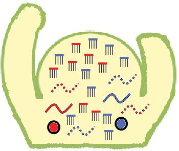 2011) Active retrotransposons in pollen cells are dealt with at posttranscriptional level