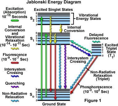 Jablonski termscheme The proof of the Kasha-rule: Any kind of excitation wavelength excites the molecule, the emission spectra does not change.