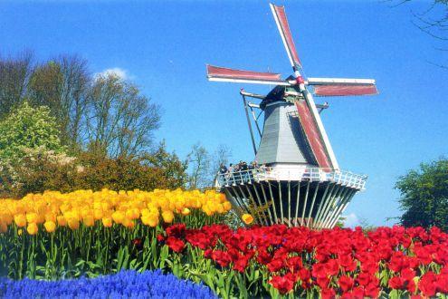 Characteristics of the Netherlands Netherlands is a trading country characterized by large import and export flows of biomass resources Bioenergy sector is developing though still in its