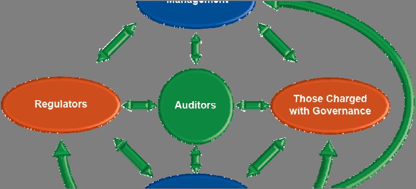 Outputs Firm and National Level From the Audit Firm