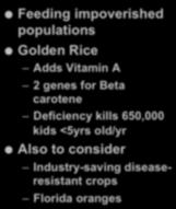 Advantages of GMOs Feeding impoverished populations Golden