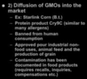 Potential Risks of GMOs - 2) Diffusion of GMOs into the market Ex: