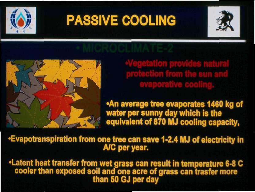 PASSIVE COOLING Vegetation provides natural protection from the sun and evaporative cooling.