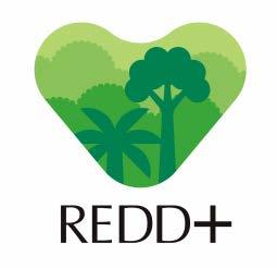 19 Japan Public-Private Platform for REDD+ The Purpose of the Platform to facilitate REDD+ activities that aim to contribute to addressing climate change, conservation of biodiversity, sustainable