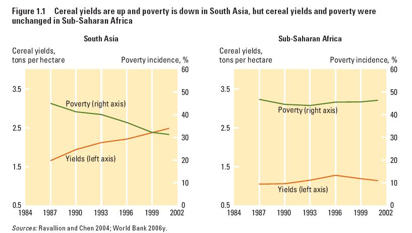 In South Asia, cereal yields are up and poverty down but