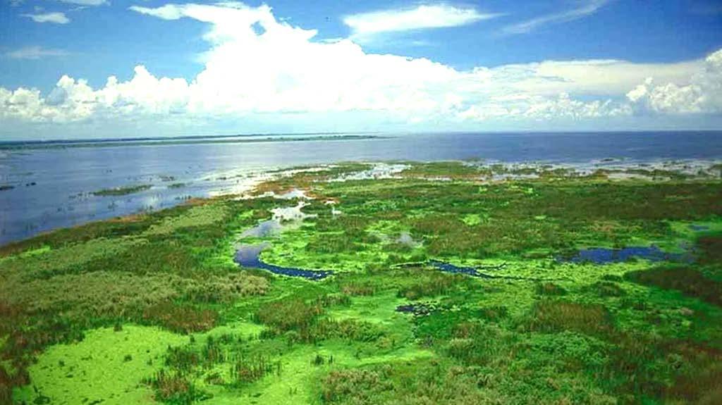 Comprehensive Everglades Restoration