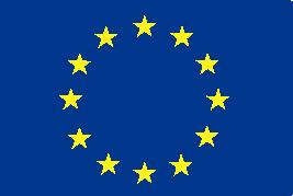 EUROPEAN COMMISSION EUROSTAT Directorate E: Sectoral and regional statistics Unit E-3: Environmental