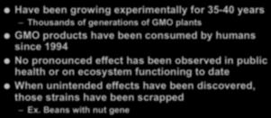 Have been growing experimentally for 35-40 years Thousands of generations of GMO plants!