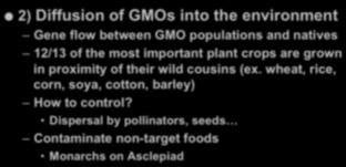 Potential Risks of GMOs -!
