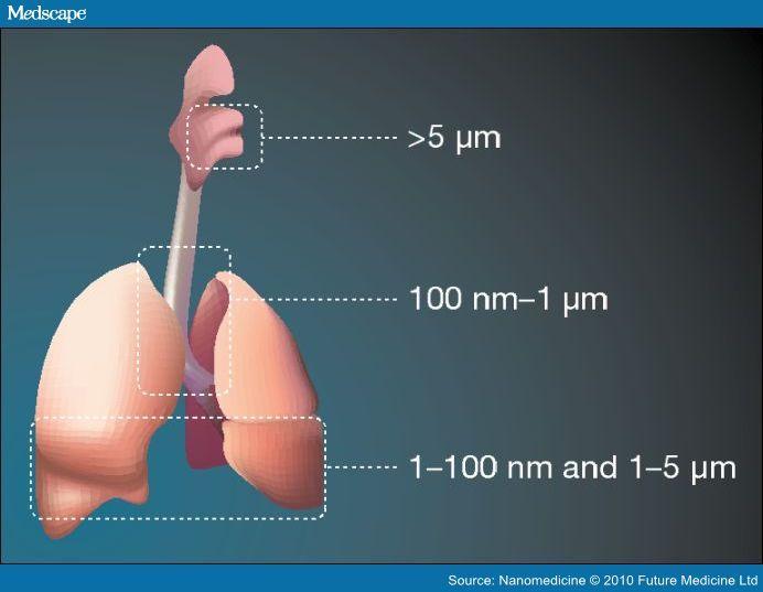 PM Size Determines Lung Penetration Andrade et al.