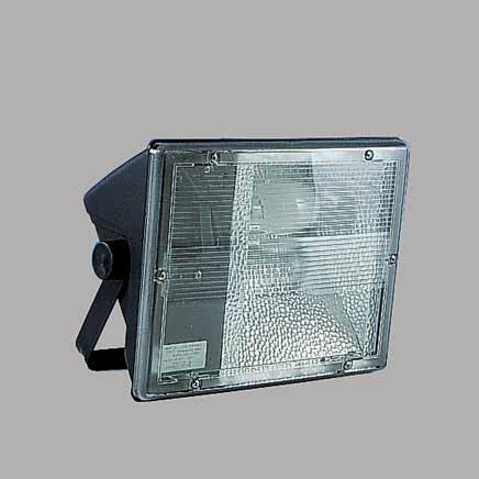 RANDA The Randa is a compact floodlight suitable for corrosive marine and coastal environments made from glass reinforced polyamide (GRP) with a clear polycarbonate lens.