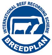 What is BREEDPLAN? BREEDPLAN is a modern genetic evaluation system for beef cattle.