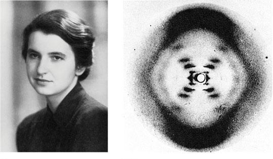 Maurice Wilkins and Rosalind Franklin used a technique called X-ray