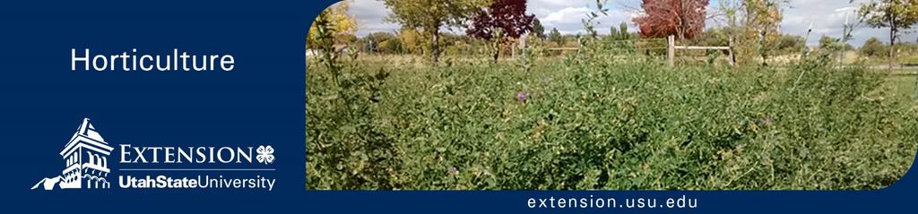 October 2016 Horticulture/CoverCrops/2016-01 Introduction to Cover Crops for Vegetable Production in Utah Tiffany Maughan, Research Associate, and Dan Drost, Extension Vegetable Specialist Crop