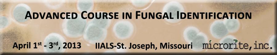 Microrite, Inc. brings you this unique advanced course in the identification of fungi; part of Microrite s Practical Series Workshops.