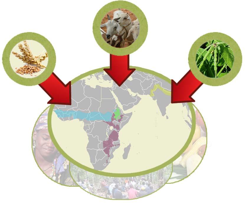 USAID Food Security Research Program Areas 3 Major Research Programs