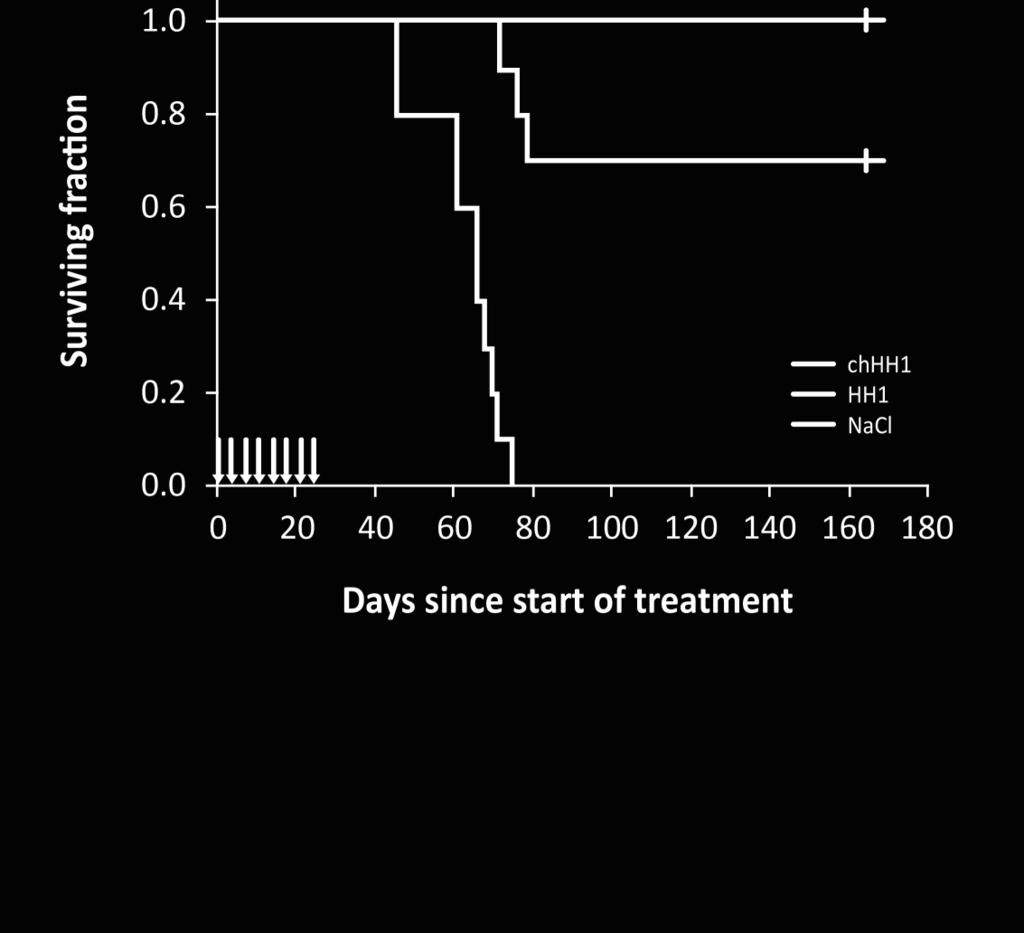 xenografts treated 2/wk. with 100 mg chhh1, 100 mg HH1 or 100 ml of NaCl for 4 weeks (black arrows).