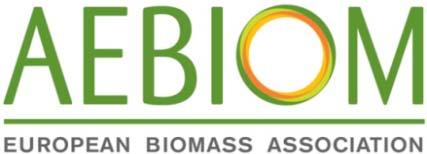 Is biomass availability sufficient?
