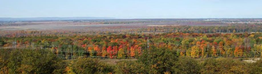 Within the NVCA jurisdiction a network of streams and rivers arise from the elevated headwaters of the Niagara Escarpment, Simcoe Uplands, and the Oak Ridges and Oro Moraines.