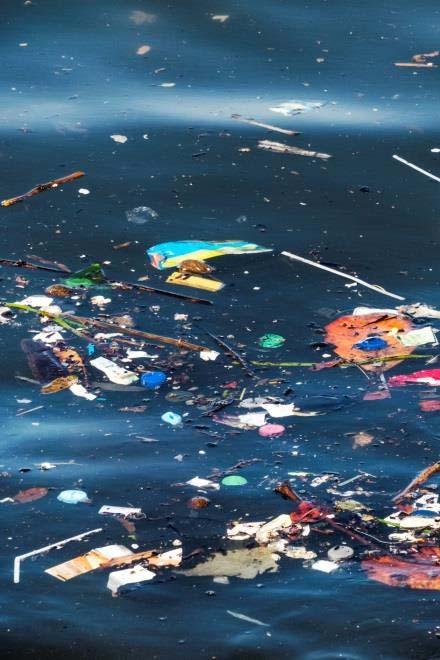 Marine Plastics Growing global and local issue Scientists predict more plastic in ocean than fish by 2050 Great Pacific Garbage patch now bigger than B.C.