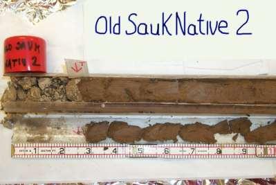 DEPTH BELOW LAND SURFACE (IN FEET) Silt/Clay rain garden soil core reveals sand down to approximately 3 feet then turns to clay 0 2 Old Sauk Native EXPLANATION 4 6 8 10 12 Soil Texture Organic-rich A