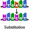 Point Mutation - Substitution A single base is substituted Because of code redundancy, this sometimes results in no change to the amino acid