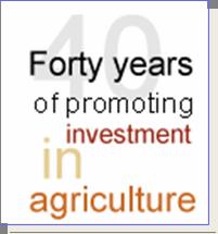 30 of 38 FAO Investment Centre: achievements Over 40 years of agriculture investment design Over 1,600 projects/programmes US$82 billion in investment by IFI partners Annually about