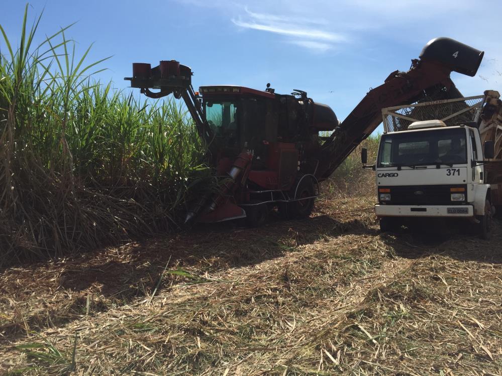 Harvesting Sugarcane Conclusions Brazil Great Potential, but.