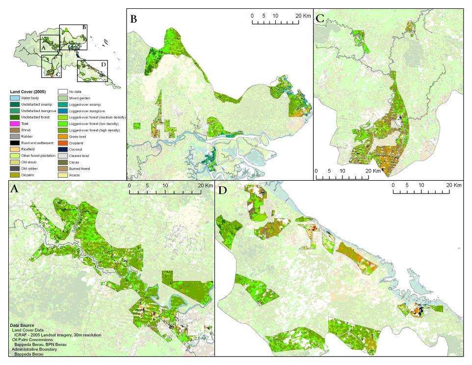 3% 30% Undisturbed forest 56% Logged-over forest (high density) Logged-over forest (medium density) Other 11% Oil palm concessions cover about 9% of