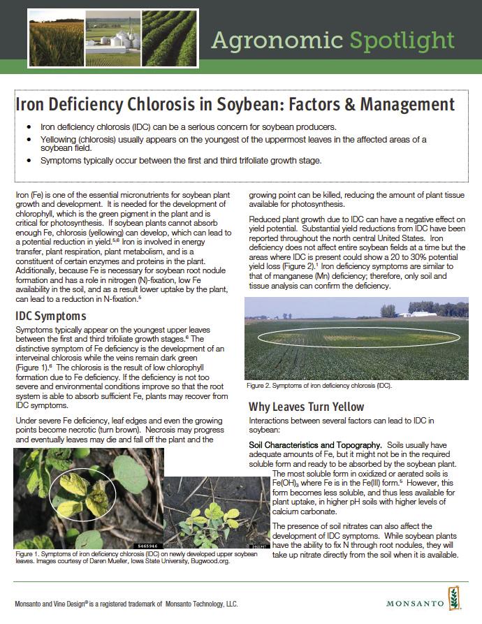 KUSSMAUL Agronomic Information SOYBEANS The rest of the article can be found at https://www.corn-states.