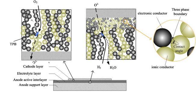 ion conduction Physically seperates the fuel from oxidant Roles of Electrode: Hosts triple phase boundary