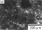 The fluorescence micrographs for silica fume concretes are given in Fig. 8. It is found that silica fume concretes had dense microstructures compared to the concrete without silica fume.