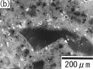 In the sealed specimens, values of microhardness in the vicinity of aggregate were smaller than in the bulk cement paste matrix.