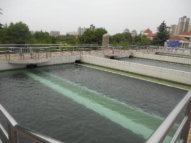 Combination of air scouring and water wash is applied with the air and water wash intensities of 50-60 m/h and 14-15 m/h, respectively. Filtered water is used for water backwashing purpose.