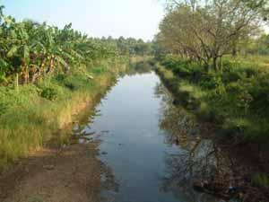 History Continued Gin Ganga Nilwala Ganga Flood Control Kirindi Oya - Irrigation/Fisheries & Wild Life Habitats WRS - Western River