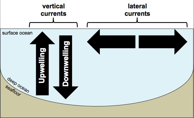 In the NASA Perpetual Ocean video, you learned that wind drives ocean currents laterally across the surface of the oceans. In addition to moving laterally, ocean water moves vertically (see Fig. 1).