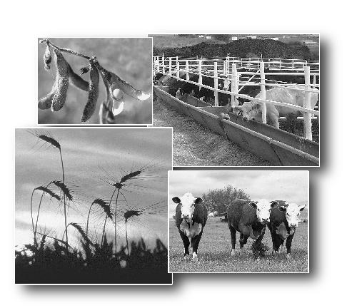 Research and Extension 2007 Agricultural Research Southeast Agricultural Research Center Report of