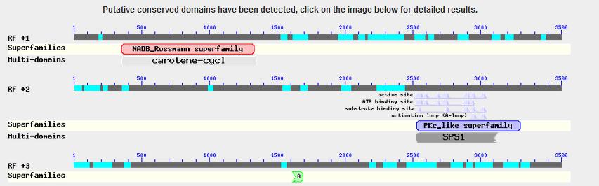 Gene 3 cont. blastx using model 2 CDS as query -When expanded the "NADB_Rossmann superfamily" (blue bars) in all three reading frames are exactly lined up with domains of lyce1.