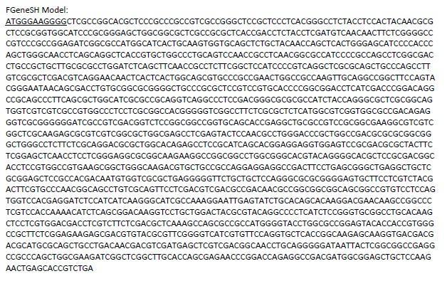 Gene 4 4 exons Forward strand 1820 bp coding sequence Expression and exon positions