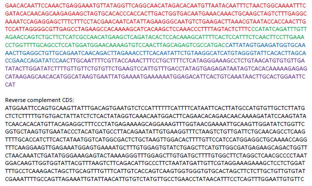 Gene 1 4 exons Reverse Strand 844 bp coding sequence Gene Model Exon Start End Exon Length Evidence for Start Evidence for End 4 3 2 1 45029 (1022) 45431 (1424) 45673 (1666) 45862 (1855) 45349 (1342)