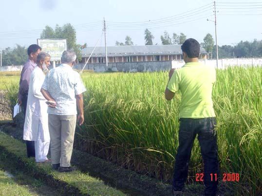 of chemical fertilizer 25-30 increased