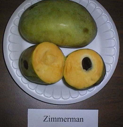 The Pawpaw Fruit Tropical-like flavor and aroma resembles
