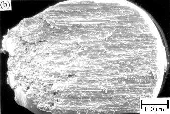 are transferred to the brittle IM2b intermetallic layer. ACKNOWLEDGEMENTS Special thanks to the National Science Council, Taiwan, for sponsoring this research under Grant No. NSC-91-2216-E002-037.