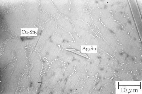 Intermetallic Compounds Formed during the Reflow and Aging of Sn-3.8Ag-0.7Cu and Sn-20In-2Ag-0.