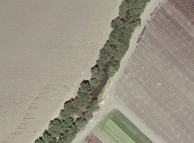The roughness can be different for all three locations and is explained further below. Bank location was designated based on changes in land use cover visible in the aerial photography.