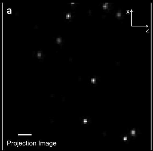 Supplementary Figure S2 Spatial resolution of SLOT Fig. S2. Spatial resolution of SLOT, calibrated by imaging 2.