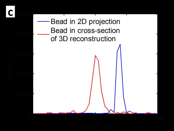 The resolution of the reconstructed 3D volume is slightly degraded by the filtered back projection algorithm of